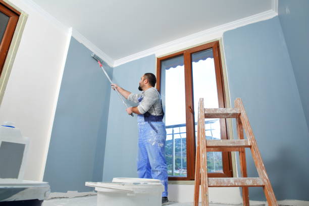 Best Comprehensive Air Testing for Mold Contaminants  in Holtville, CA