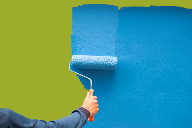 Reliable Holtville, CA Mold Removal Solutions